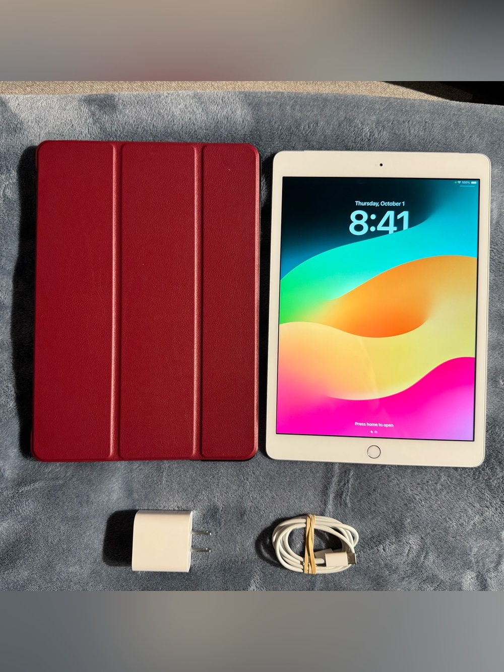 Apple iPad 7th Generation 32GB Cellular WiFi 10.2 Inch Screen with Case Charger